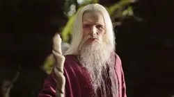 Visuel de Merlin