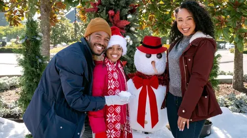 Merry Liddle Christmas Wedding