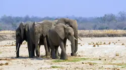 Merveilles d'Afrique