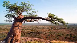 Merveilles d'Afrique