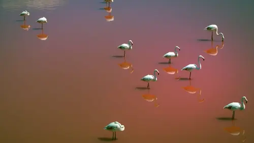 Merveilles d'Europe La rudesse des côtes