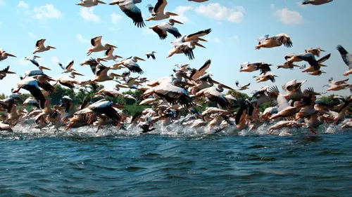 Casting Merveilles d'Europe Le tumulte des fleuves