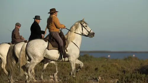 Merveilles de la nature La force de la vie