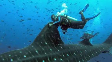 Le monde perdu des Galapagos