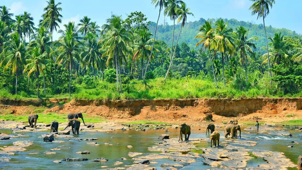 Merveilles de la nature Yala, un éden au Sri Lanka