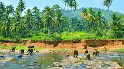 Merveilles de la nature