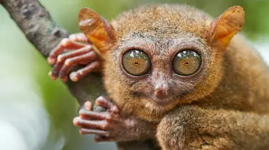 Le lac Kaindy, joyau des montagnes kazakhes