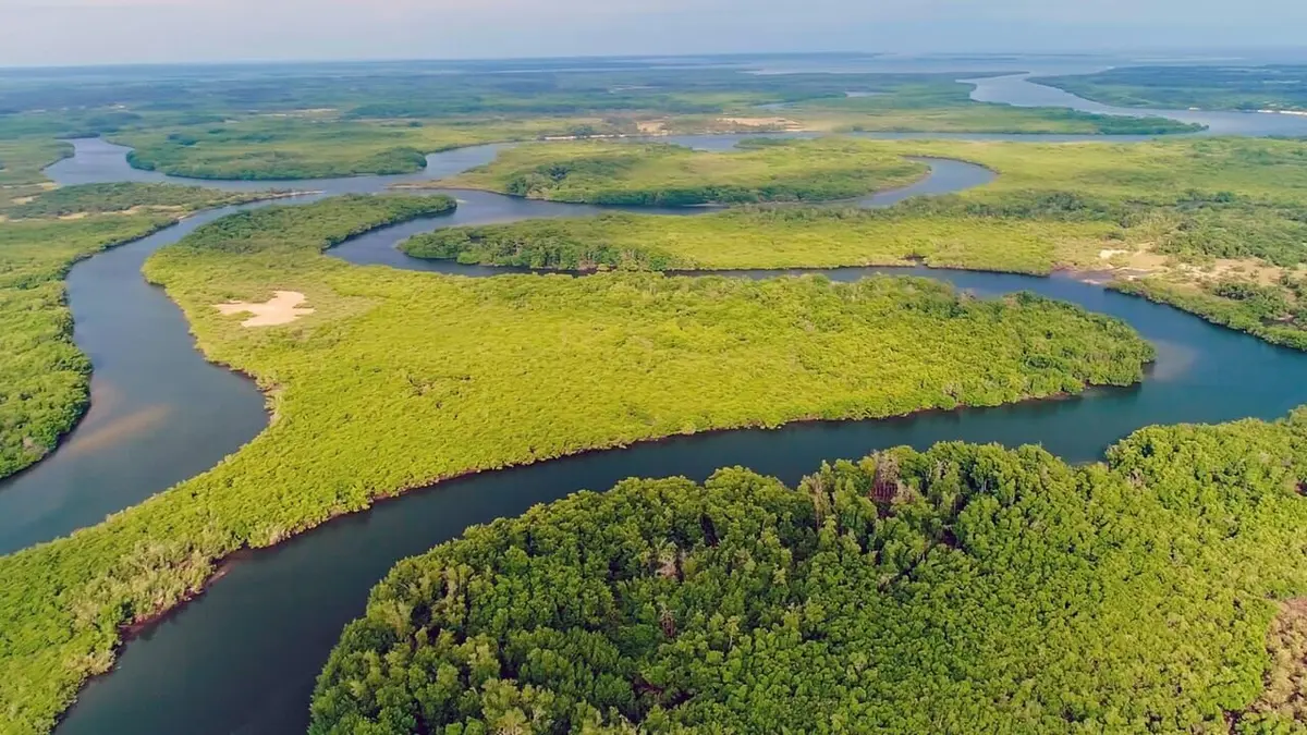 Merveilles de la nature L'archipel sauvage des Bijagos