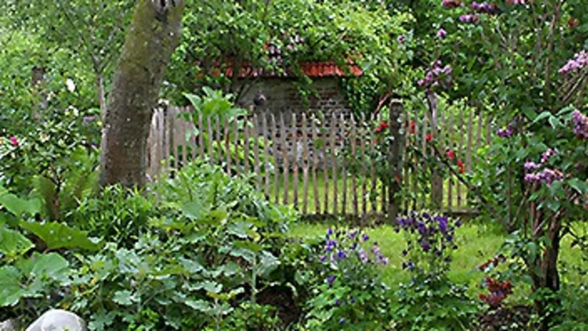 Merveilleux jardin E01 Le réveil du printemps