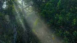 Visuel de Merveilleux Sri Lanka