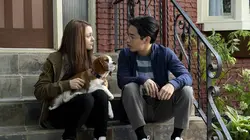 Mes autres vies de chien