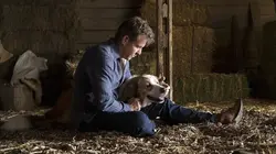 Mes autres vies de chien