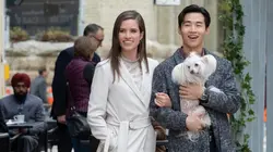 Mes autres vies de chien en streaming