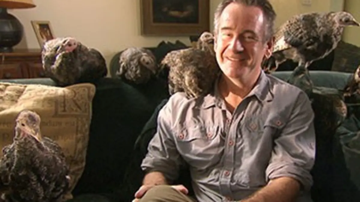 Mes dindes et moi : portrait de famille