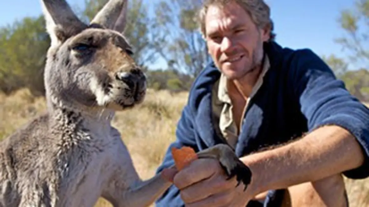 Mes kangourous et moi