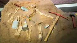 Mésopotamie, une civilisation oubliée