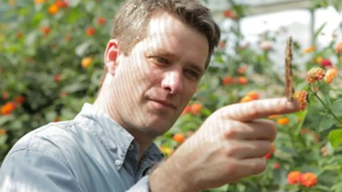 Métamorphose : la loi du changement