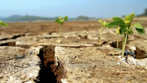 Météo alerte Sécheresse: Pouvons-nous y échapper ?