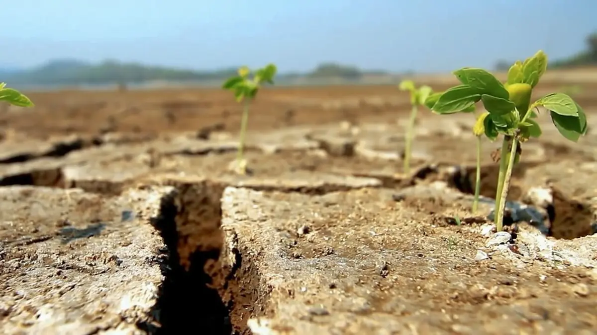 Visuel de Météo alerte Canicules: Le climat risque-t-il de s'enflammer?