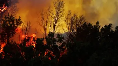 Météo alerte Canicules: Le climat risque-t-il de s'enflammer?