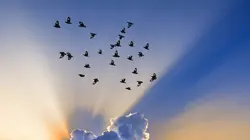 Météo & Climat 20h20 de La Une