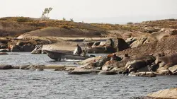 Meurtres à Sandhamn  S01E02 La reine de la Baltique