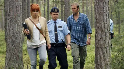 Meurtres à Sandhamn S03E02 Les nuits de la Saint-Jean en streaming