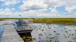 Meurtres en Floride S01E05 Mystère dans les Everglades