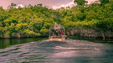 Mystère dans les Everglades