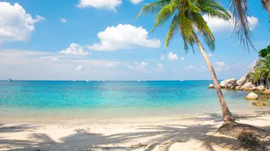 Meurtres en série à Palm Beach