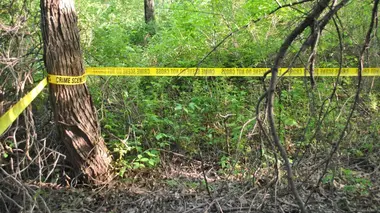 Le diable à la trace