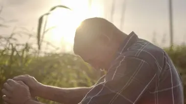 Chapitre 1 : un corps dans le canal