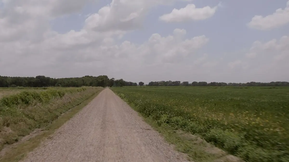 Meurtres en série dans le Bayou Chapitre 4 : sur le fil du rasoir
