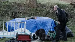Meurtres sous surveillance Le tapis vert