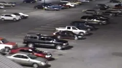 Meurtres sous surveillance La veuve noire