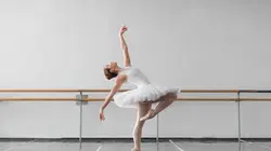 Meyer et Writing Ground