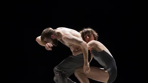 Meyer et Writing Ground