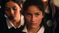 Mi bestia