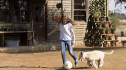Sur Ciné+ Family à 20h50 : Mia et le lion blanc