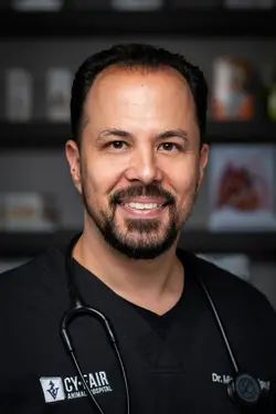 Photo Michael Lavigne