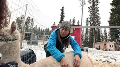 Michelle ou la vie sauvage E06 L'hiver arrive