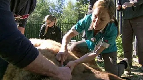 Michelle ou la vie sauvage S02E06 Visites à domicile