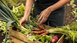 Microfermes, des exploitations très rentables