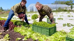 Microfermes, des exploitations très rentables