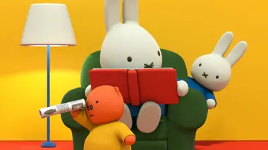 Miffy et les flaques d'eau