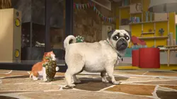 Mike, une vie de chien S01E59 Joyeux anniversaire Mike !