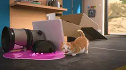 Mike, une vie de chien S01E20 Fluffystein