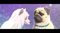 Mike, une vie de chien  S01E23 Toutou tout mou