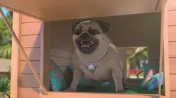 Mike, une vie de chien S01E76 A la niche !