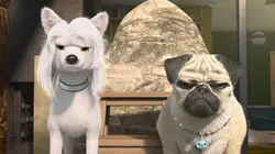 Mike, une vie de chien S01E71 Silence, on tourne !